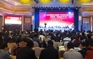2019/01/10 第四届中国地热产业发展2019峰会在西安举行