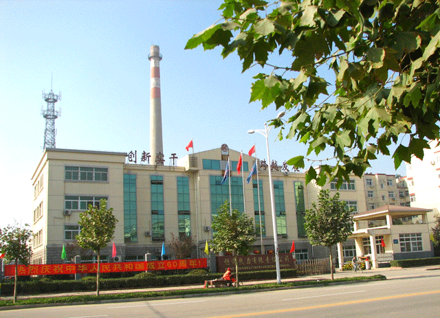 C . 河北衡水恒通热力