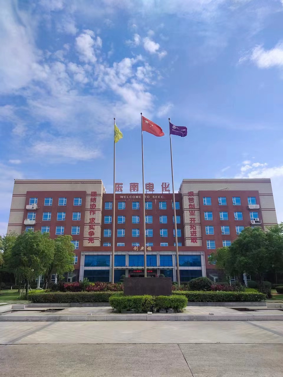 P . 福建东南电化