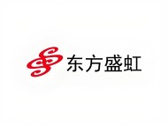 DFSH东方盛虹