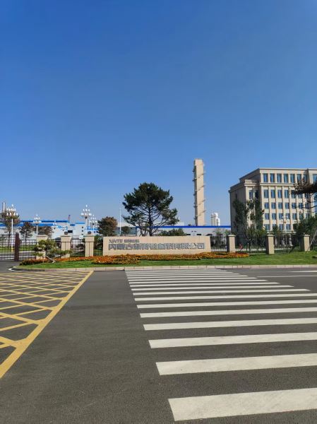 65.内蒙鄂尔多斯双欣化学