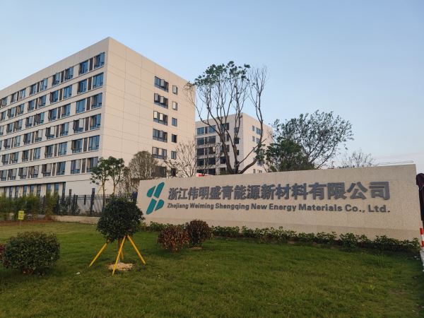 OL.浙江伟明盛青能源新材料
